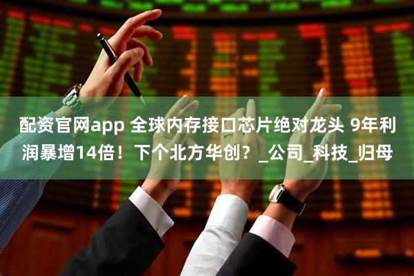 配资官网app 全球内存接口芯片绝对龙头 9年利润暴增14倍！下个北方华创？_公司_科技_归母