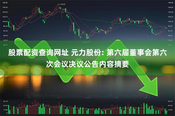 股票配资查询网址 元力股份: 第六届董事会第六次会议决议公告内容摘要