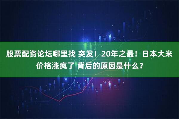 股票配资论坛哪里找 突发！20年之最！日本大米价格涨疯了 背后的原因是什么？